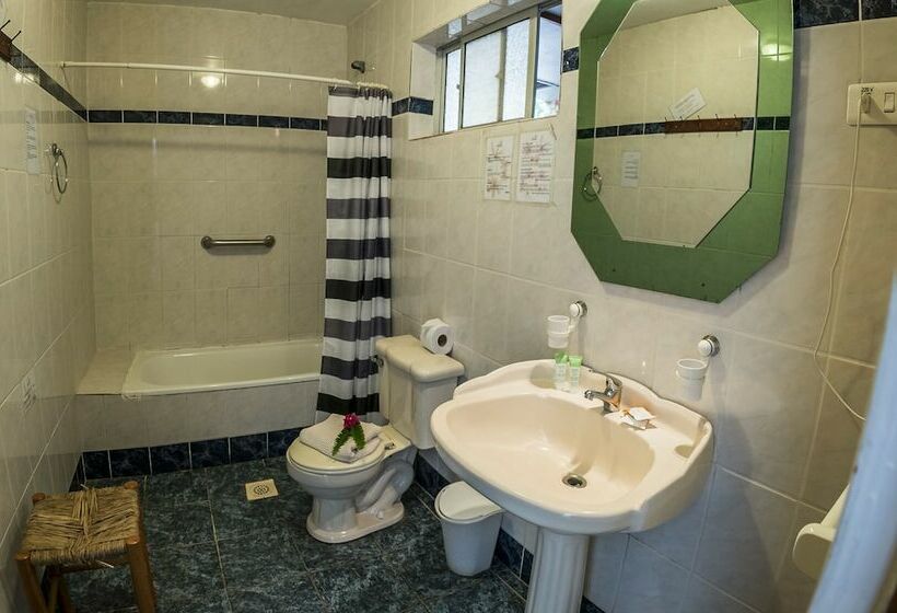 חדר סטנדרט, Gomero