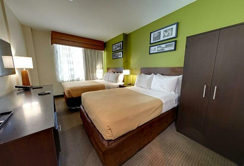 스탠다드 룸 더블 침대 2개, Hillside