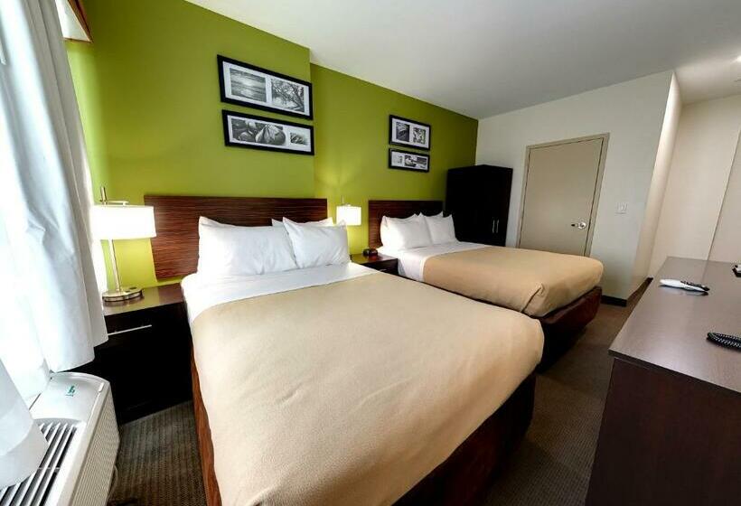 스탠다드 룸 더블 침대 2개, Hillside