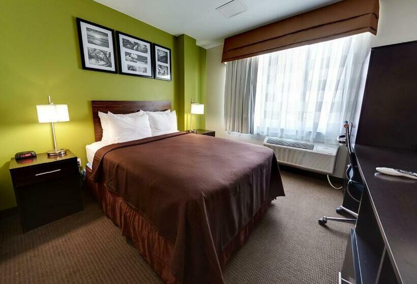 스탠다드 룸, Hillside