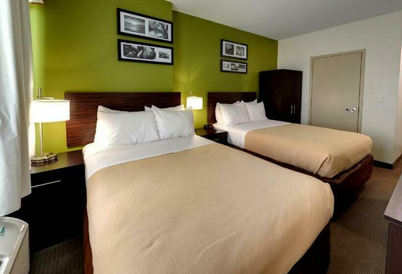 스탠다드 룸 더블 침대 2개, Hillside