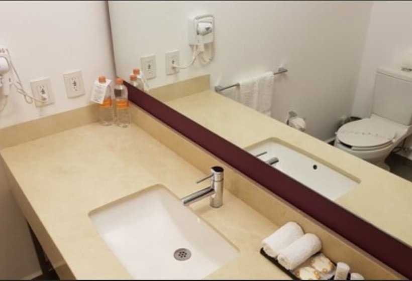 جناح ديلوكس, La Quinta By Wyndham San José Chiapa Puebla