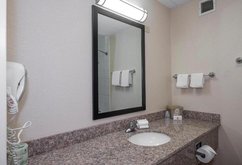 디럭스 룸 킹사이즈 침대, Red Roof Inn Cortland