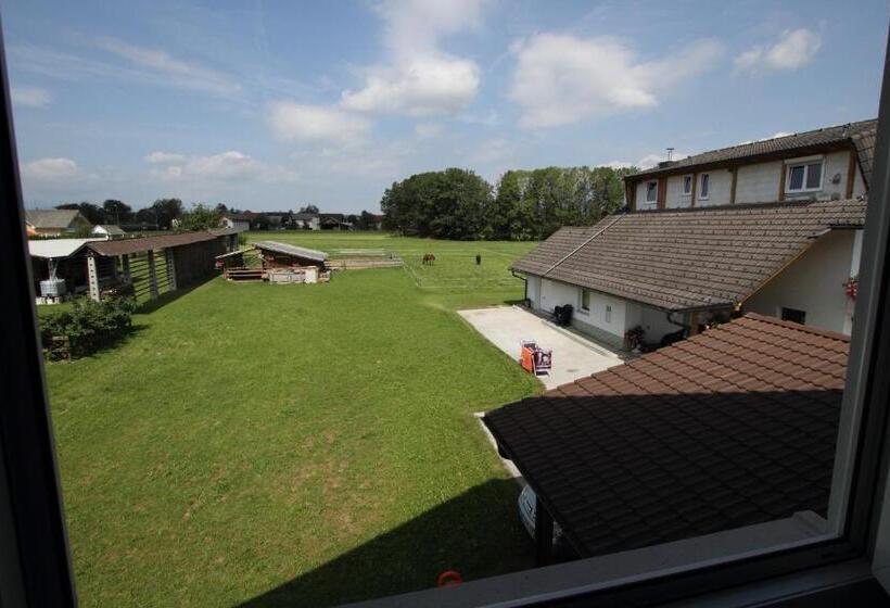 اتاق عادی, Rooms & Apartments Jana