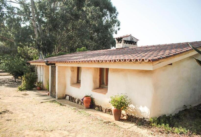 Апартаменты 2 Спальни, Quinta Pedagógica Da Samoqueirinha Duna Parque Resorts & Hotels