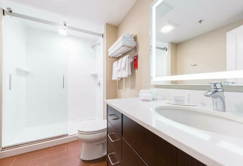 スタンダードスタジオ, Towneplace Suites By Marriott Edmonton South