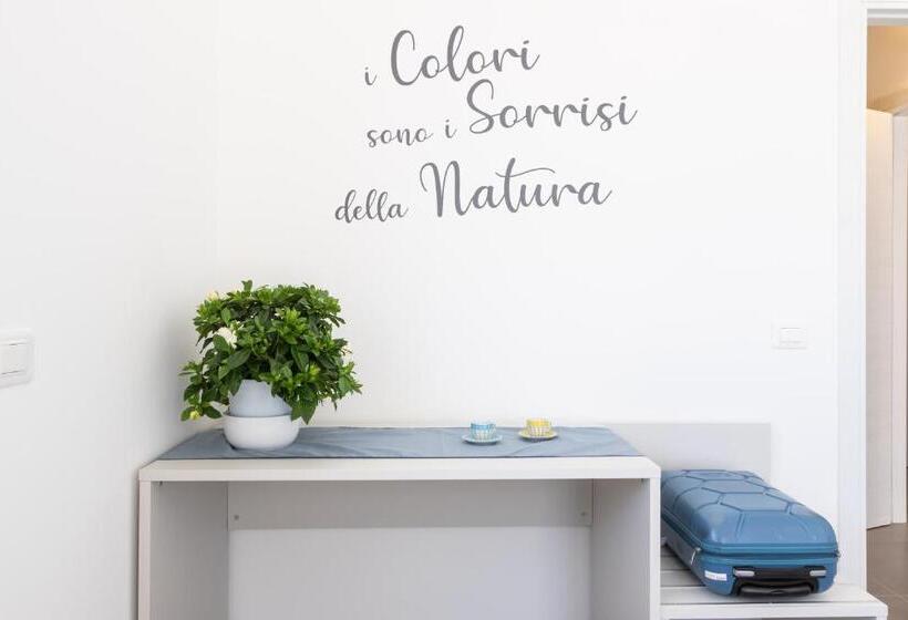 اتاق استاندارد با تراس, Bcolors Rooms, Selargius Is Corrias