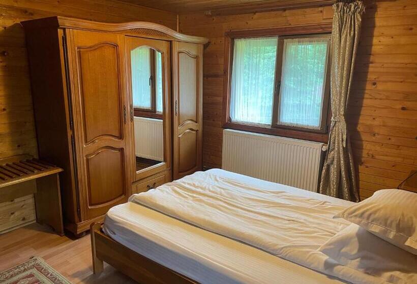 اتاق استاندارد, Pensiunea Liliana