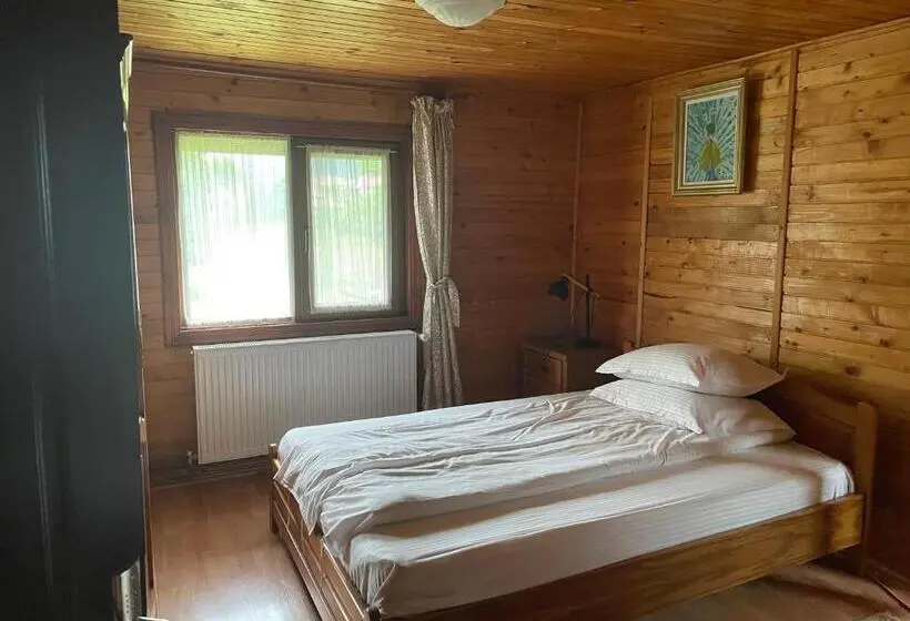 Standard-huone, Pensiunea Liliana