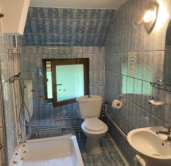 اتاق استاندارد, Pensiunea Liliana