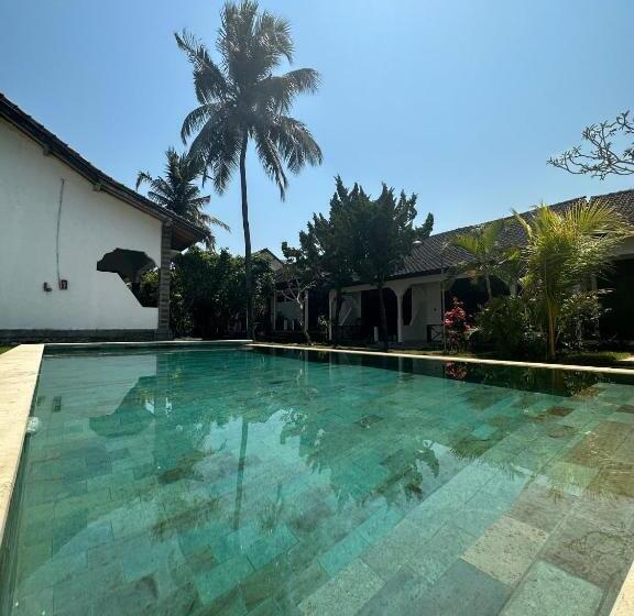 חדר סטנדרט, The Confidential Mandalika