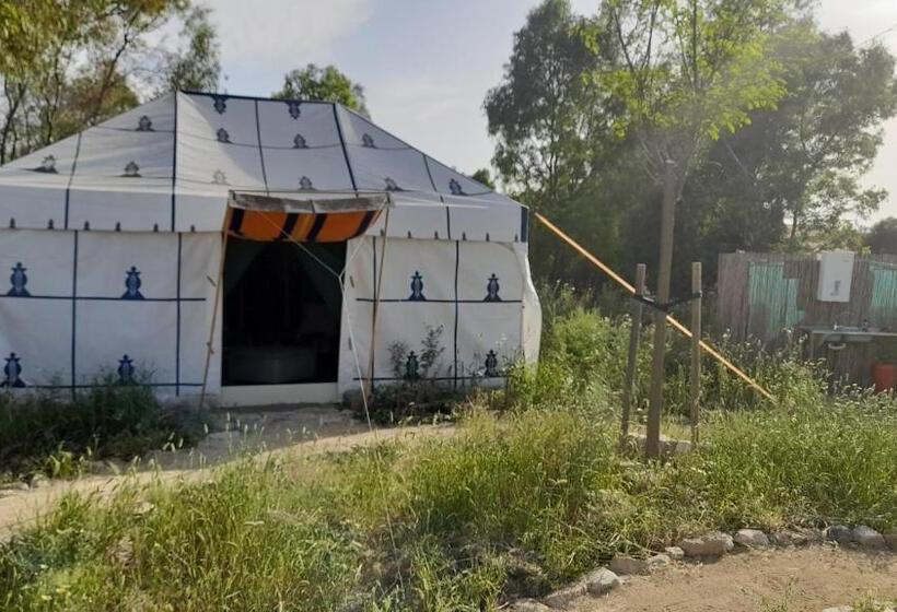 3间卧室的房子, Milagro De Algar