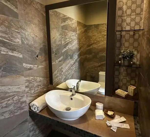 اتاق سوپریور با تخت بزرگ, Stay Inn Plus