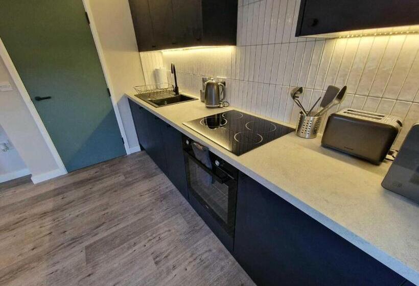 اتاق استاندارد با سرویس بهداشتی مشترک, Vere Apartments