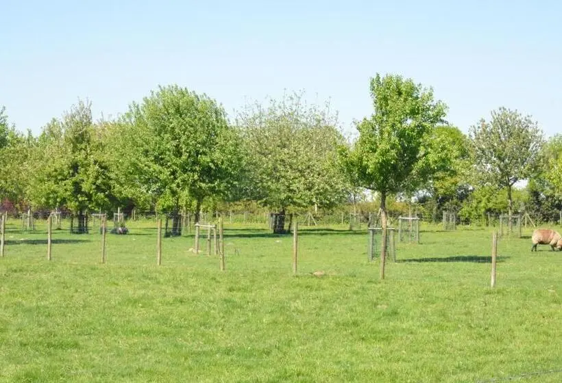 デラックスルーム, B & B Landhuis Ter Velt