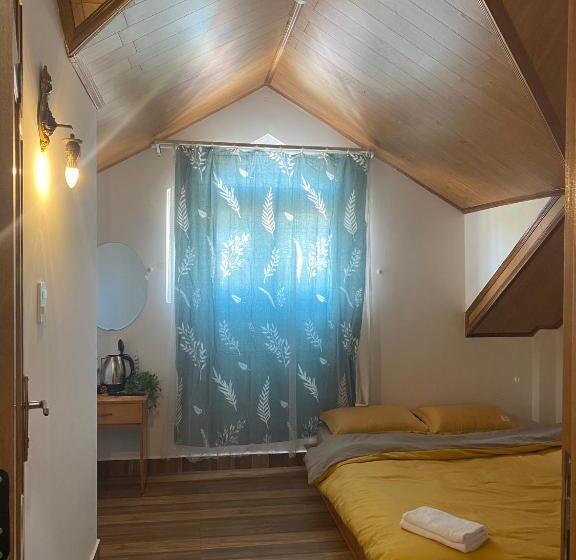 Standart Tek Kişilik Oda, Ruby Peace