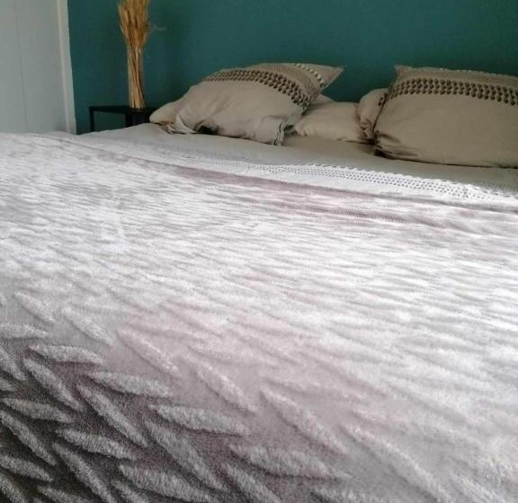 اتاق استاندارد, Maison à Coté De Disneyland Paris, Stade De France, Jeux Olympiques