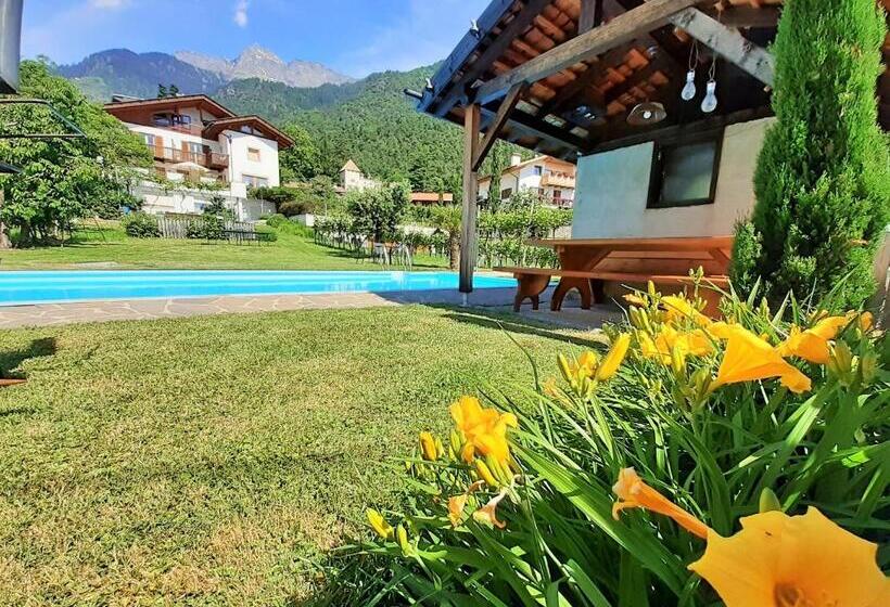 آپارتمان سوپریور 1 خوابه, Fröhlichhof Wohnung Apfelblüte