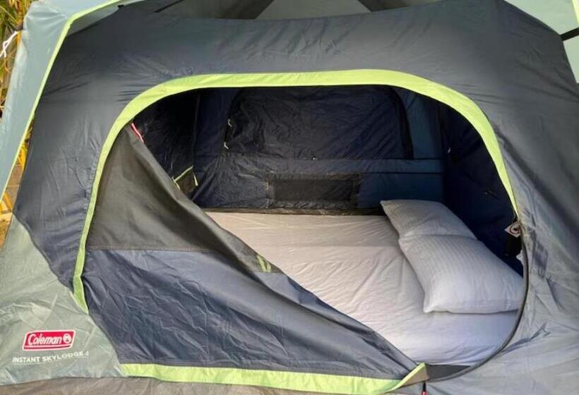 Standard Tent, Trance Veechika