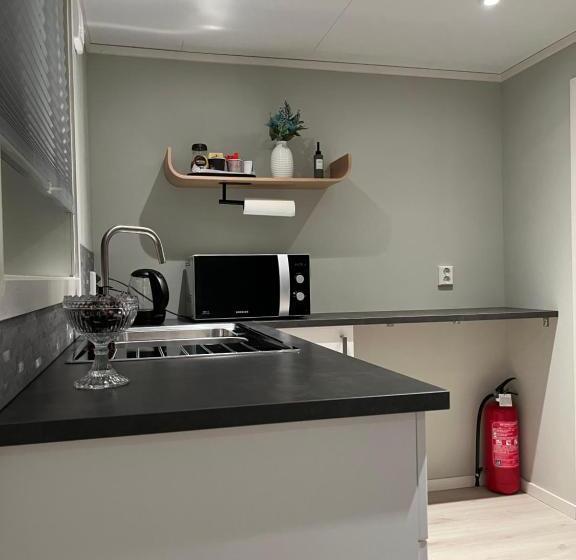 استودیوی استاندارد, Cozy Basement Apartment In Orkanger