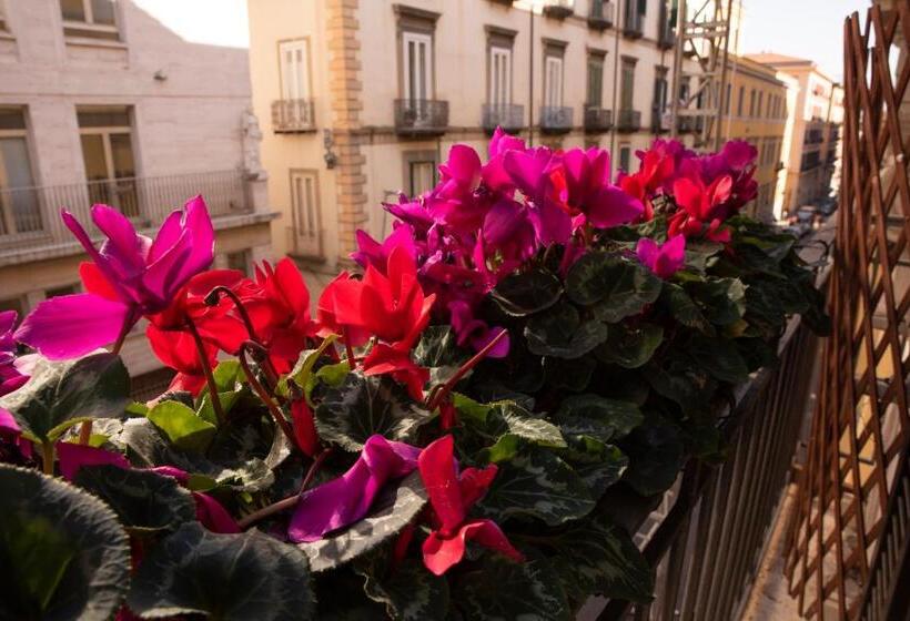 سوییت جونیور با بالکن, Home & More Brigida