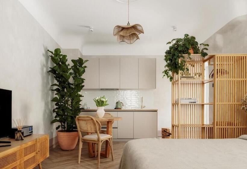 استودیوی استاندارد, Spīdalas Nams