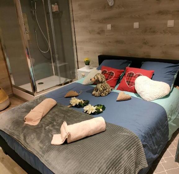 חדר סטנדרט, La Grande Fistoire D Annie