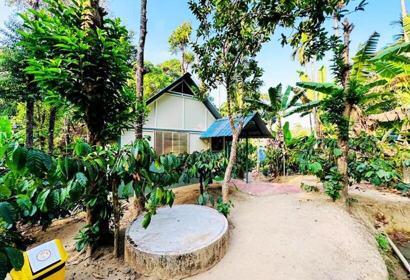 经济房, Falling Water Resort By Travent Mug