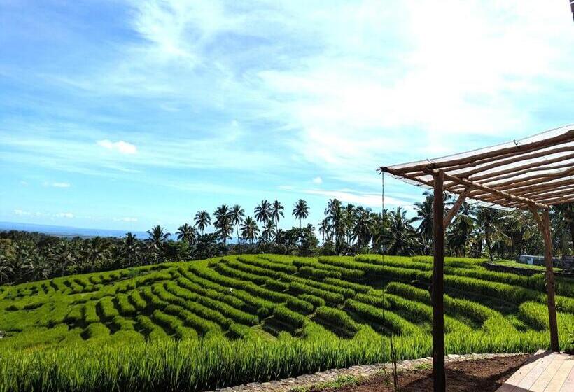 חדר דלוקס, Puri Dajuma Terrace Eco Lodge & Spa