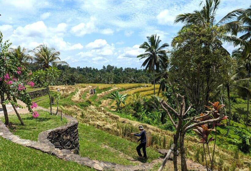 וילה בת 2 חדרי שינה, Puri Dajuma Terrace Eco Lodge & Spa