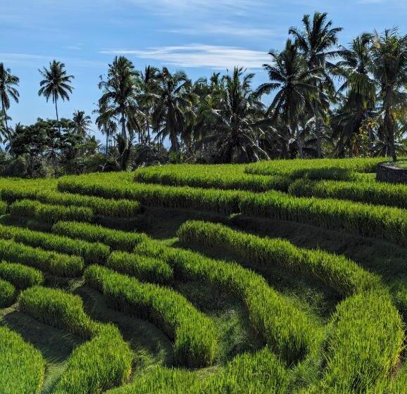 וילה בת 2 חדרי שינה, Puri Dajuma Terrace Eco Lodge & Spa