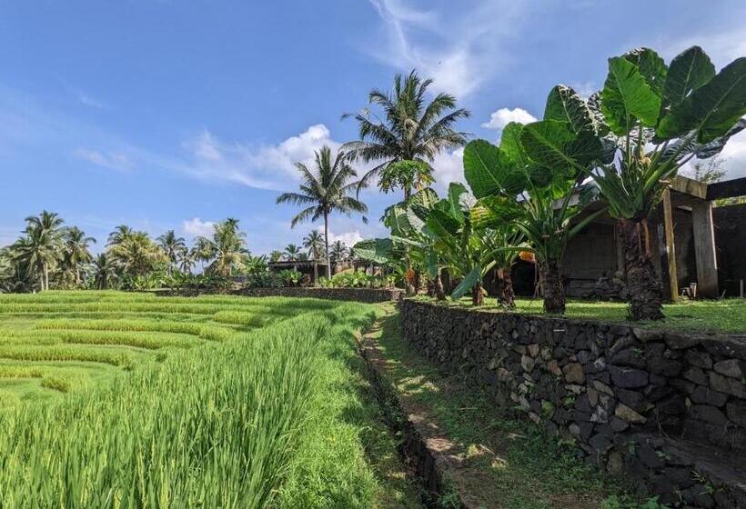 Вилла 2 Спальни, Puri Dajuma Terrace Eco Lodge & Spa