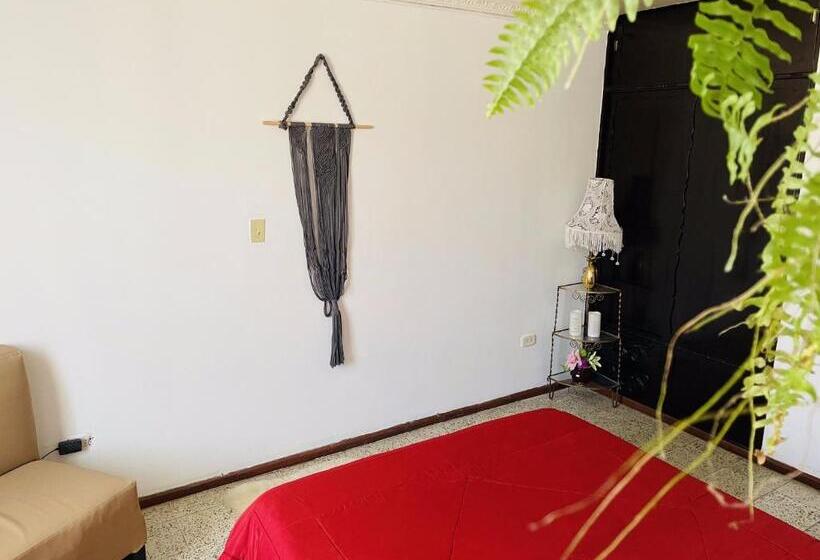 标准间, Boutique Tesoro