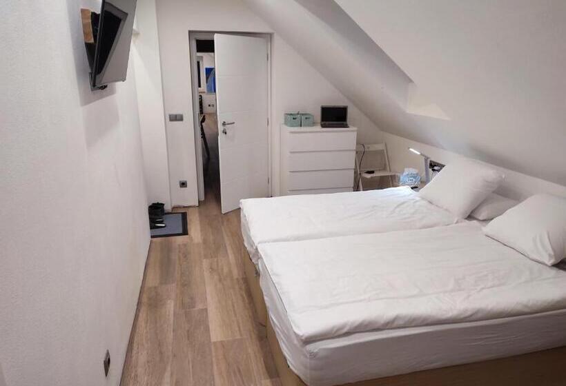 基本间, Frejstejn House, Artist S Residence