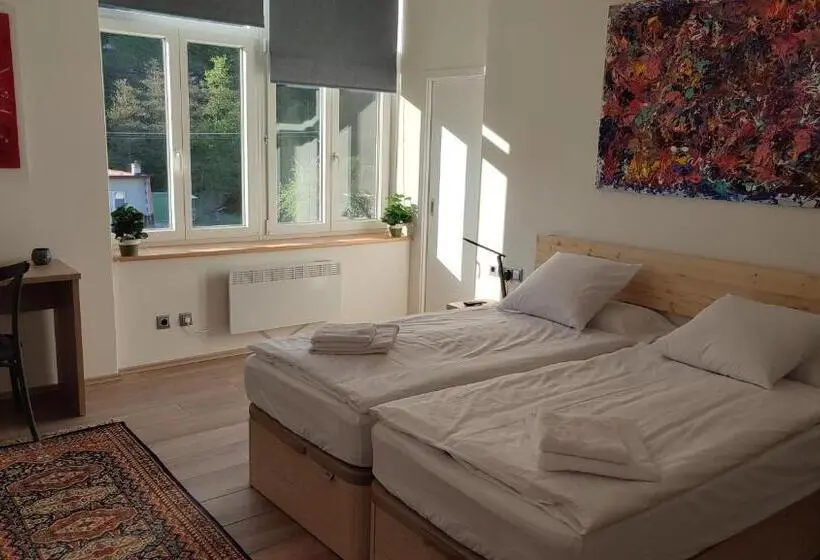 スタンダードルーム, Frejstejn House, Artist S Residence