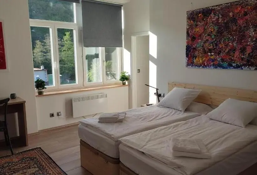 スタンダードルーム, Frejstejn House, Artist S Residence