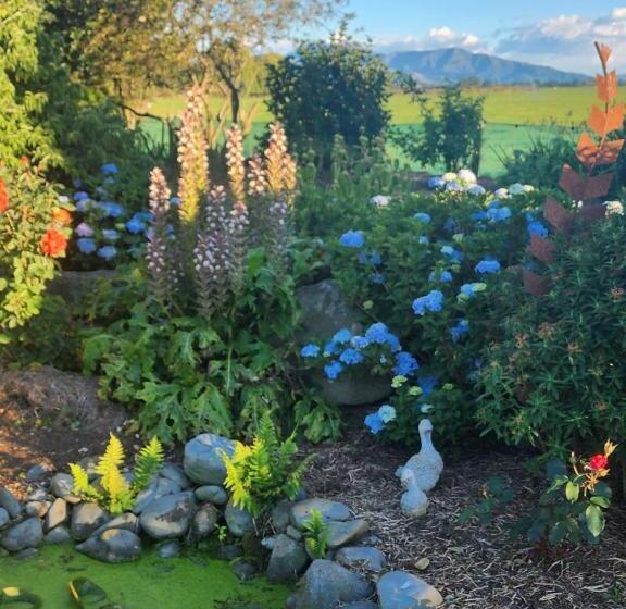 חדר דלוקס, Woodlands