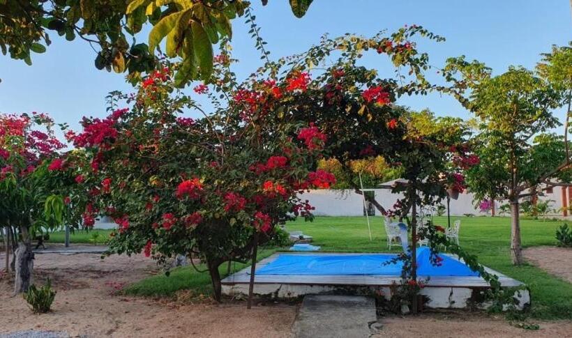 فيلا ديلوكس غرفة نوم, Trevizzo Genipabu Natal!