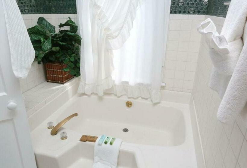 스탠다드 발코니 룸, Historic Sevilla House