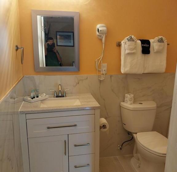 스탠다드 룸 킹사이즈 침대, Historic Sevilla House