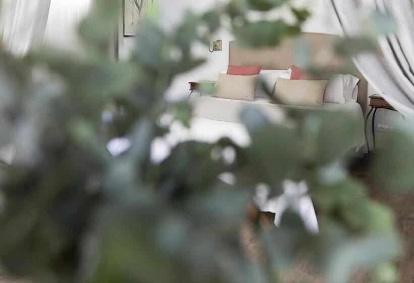 סטודיו סטנדרטי נוף לגינה, Le Petit Boutique