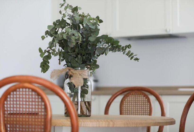 סטודיו סטנדרטי נוף לגינה, Le Petit Boutique