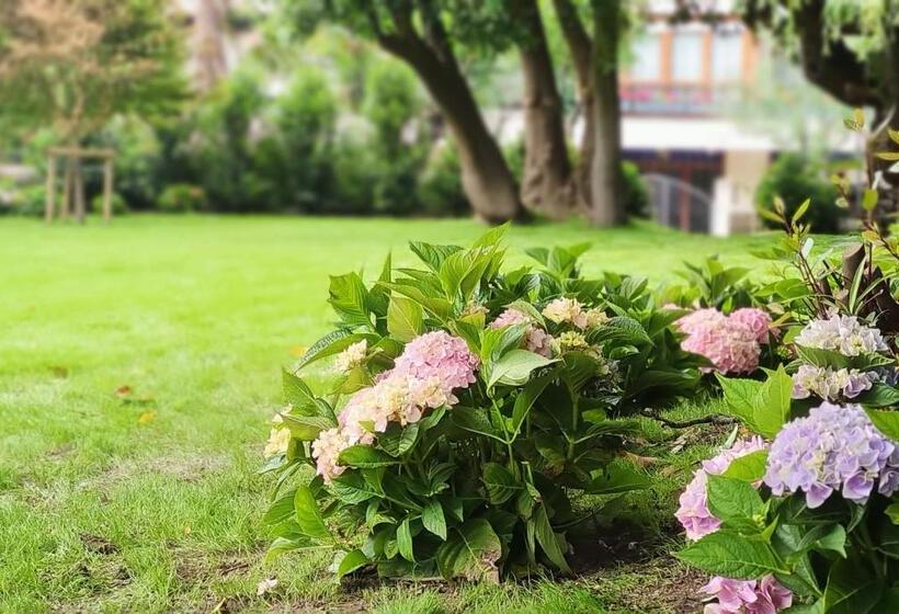 סטודיו סטנדרטי נוף לגינה, Le Petit Boutique