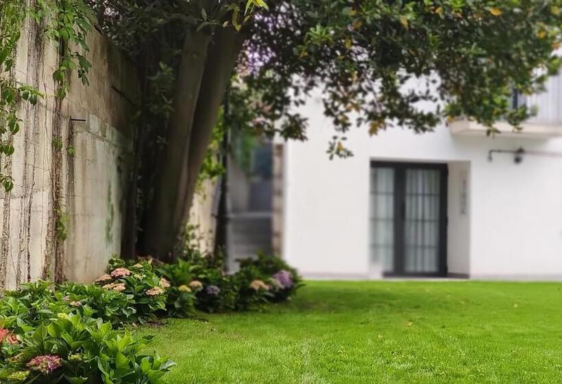 带花园景观的标准工作室, Le Petit Boutique