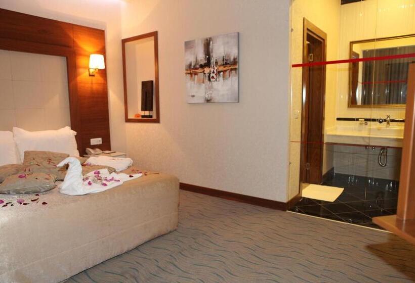 اتاق استاندارد, Vego