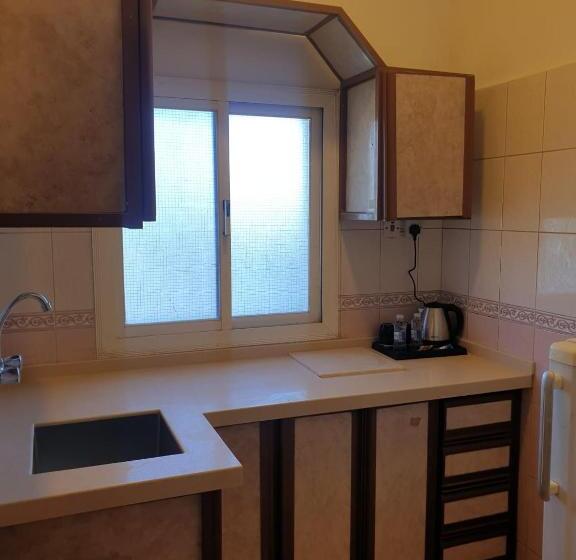 شقة غرفة واحدة, شقق مأوى الدانة للشقق المخدومة