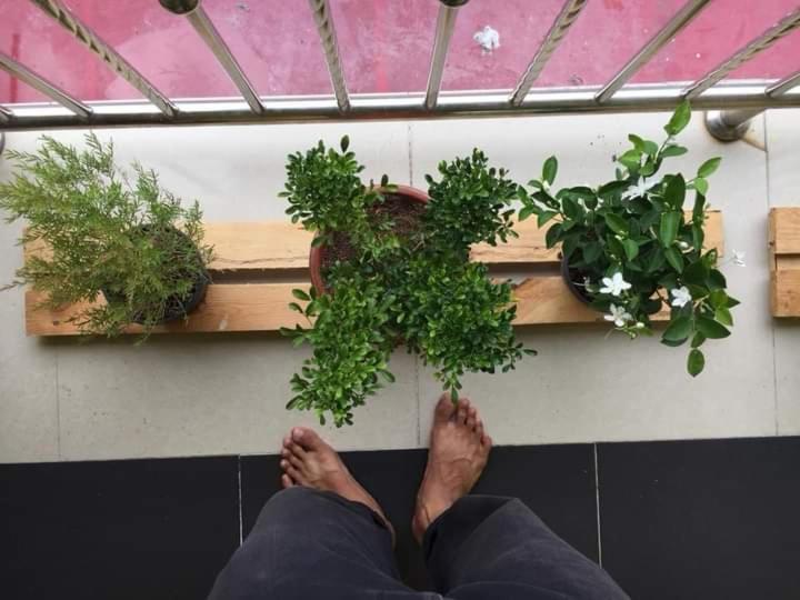 디럭스 패밀리 룸, D  Bunga Hotel Bukit Bunga Bilik Family Deluxe