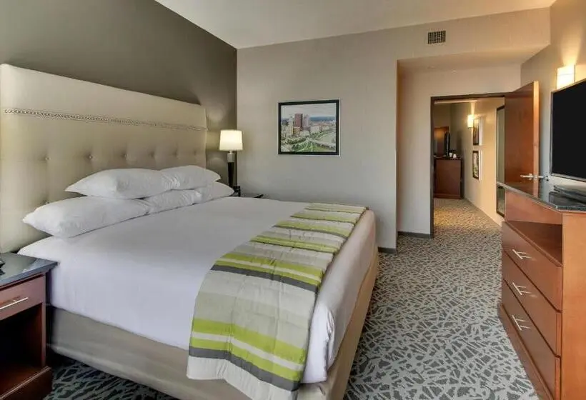 キングサイドベッドのスタンダードワンルーム, Drury Plaza Hotel Cincinnati Florence