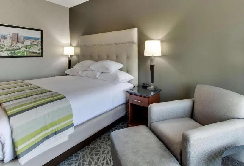 キングサイズベッドのデラックスルーム, Drury Plaza Hotel Cincinnati Florence