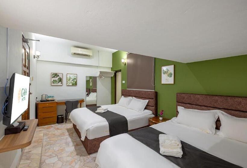 סוויטה משפחתית, Gaia